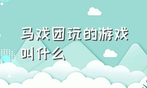 马戏团玩的游戏叫什么（马戏团的游戏怎么玩）