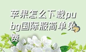 苹果怎么下载pubg国际服简单免费