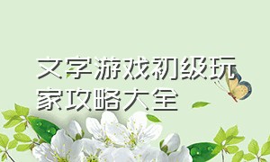 文字游戏初级玩家攻略大全