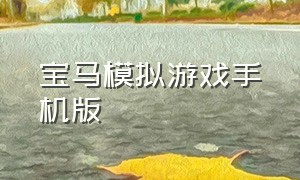 宝马模拟游戏手机版