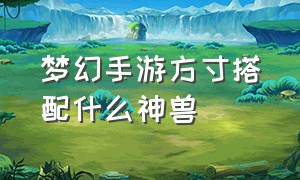 梦幻手游方寸搭配什么神兽