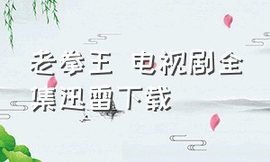 老拳王 电视剧全集迅雷下载