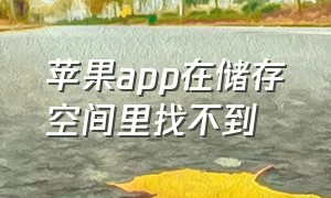 苹果app在储存空间里找不到