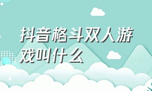 抖音格斗双人游戏叫什么（抖音里的双人游戏是什么游戏）