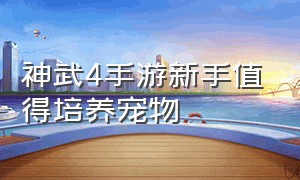 神武4手游新手值得培养宠物（神武4手游练什么宠物最好）