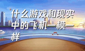 什么游戏和现实中的飞机一模一样