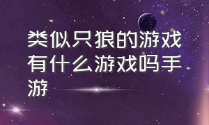 类似只狼的游戏有什么游戏吗手游（类似只狼的游戏有什么游戏吗手游）