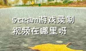 steam游戏录制视频在哪里呀