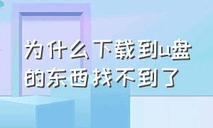 为什么下载到u盘的东西找不到了