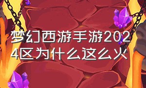 梦幻西游手游2024区为什么这么火