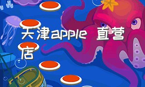 天津apple 直营店