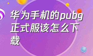 华为手机的pubg正式服该怎么下载