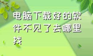 电脑下载好的软件不见了去哪里找