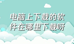 电脑上下载的软件在哪里下载呀