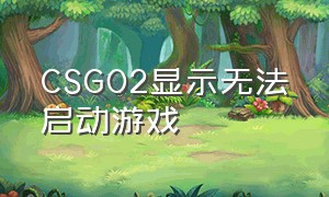 CSGO2显示无法启动游戏