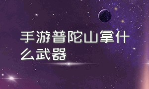 手游普陀山拿什么武器（手游普陀山带什么主动法宝）