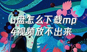 u盘怎么下载mp4视频放不出来