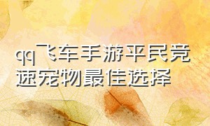 qq飞车手游平民竞速宠物最佳选择