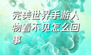 完美世界手游人物看不见怎么回事（完美世界手游人物看不见怎么回事视频）