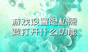 游戏设置隐私需要打开什么功能