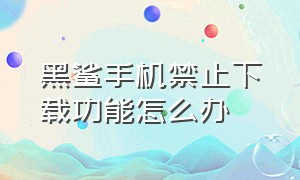 黑鲨手机禁止下载功能怎么办（黑鲨手机安装软件被阻止怎么解除）