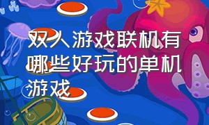 双人游戏联机有哪些好玩的单机游戏（适合双人联机单机游戏有哪些）