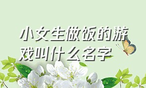 小女生做饭的游戏叫什么名字（一个小女孩做饭的游戏叫什么名字）