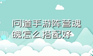 问道手游阵营魂魄怎么搭配好（问道手游人物阵营技能怎么得）