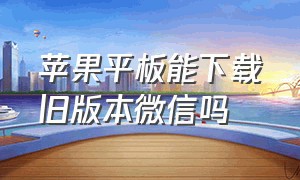 苹果平板能下载旧版本微信吗（苹果平板怎么下载电脑版微信）