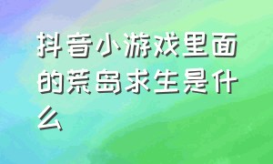 抖音小游戏里面的荒岛求生是什么（抖音小游戏海岛求生游戏入口）