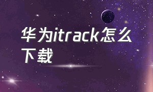 华为itrack怎么下载（brickit华为怎么下载）