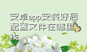 安卓app安装好后配置文件在哪里找（安卓怎么查看app安装路径）