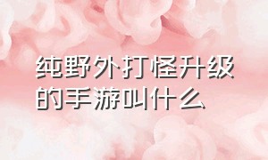 纯野外打怪升级的手游叫什么（纯野外打怪升级的手游叫什么游戏）