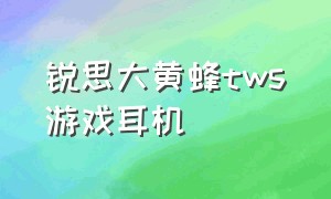 锐思大黄蜂tws游戏耳机（锐思大黄蜂tws蓝牙耳机官网多少钱）