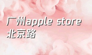广州apple store北京路（applestore深圳零售店）