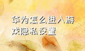 华为怎么进入游戏隐私设置（华为隐私空间怎么把游戏转换过来）