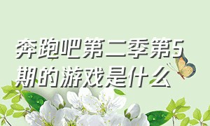 奔跑吧第二季第5期的游戏是什么