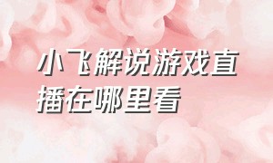 小飞解说游戏直播在哪里看（小飞解说游戏介绍）