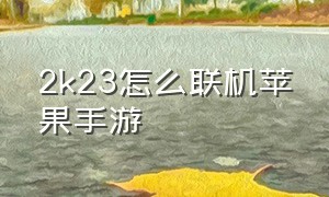 2k23怎么联机苹果手游（苹果手机版2k21怎么联机）