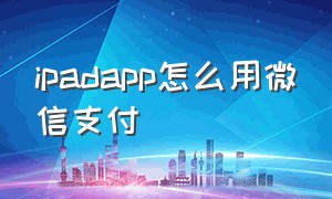 ipadapp怎么用微信支付（ipad苹果支付怎么换成微信支付）