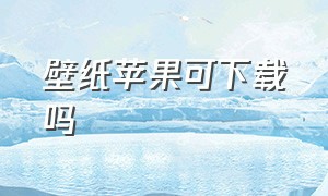 壁纸苹果可下载吗（苹果从哪里下载壁纸）