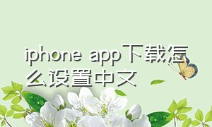 iphone app下载怎么设置中文（苹果手机app下载怎么改成中文）