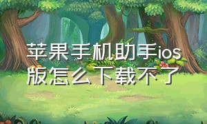 苹果手机助手ios版怎么下载不了（官方苹果手机助手怎么下载）