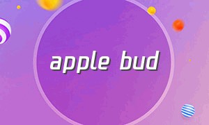 apple bud（Apple不对）