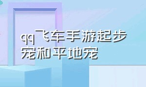 qq飞车手游起步宠和平地宠（qq飞车手游平民集气宠物排名）