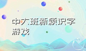 中大班新颖识字游戏