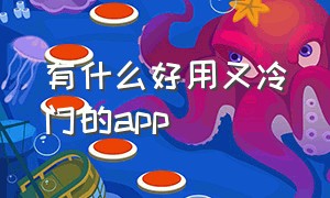 有什么好用又冷门的app（有哪些冷门但惊艳的app）