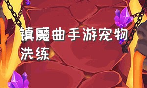 镇魔曲手游宠物洗练（镇魔曲手游超凡宠物哪个好）