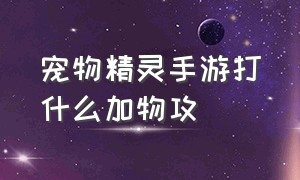 宠物精灵手游打什么加物攻（宠物小精灵手游最强阵容）