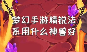 梦幻手游精锐法系用什么神兽好